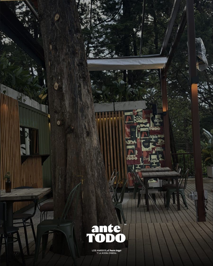 Mesas de Ante Todo bajo los árboles